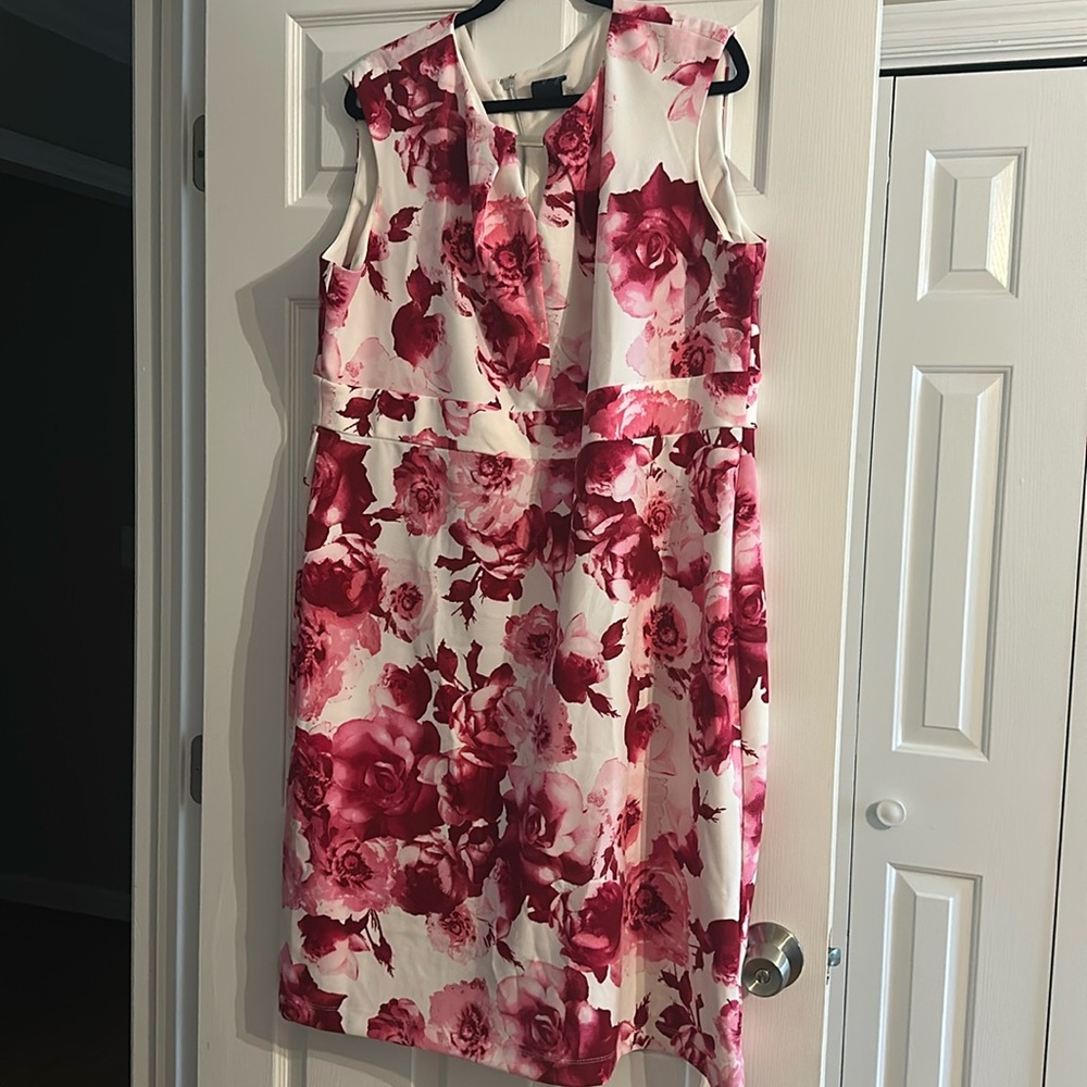 Lightly use extremely cute floral dress by gabby skye size 22 wide